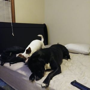 Meet your Posher, Luis